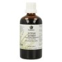Solidago complex paard & pony