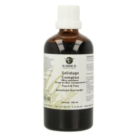 Solidago complex paard & pony