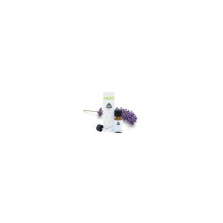 Lavendel, bio, co2, 2,5 ml