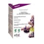 Vasorutine