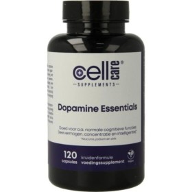 Dopamine essentials