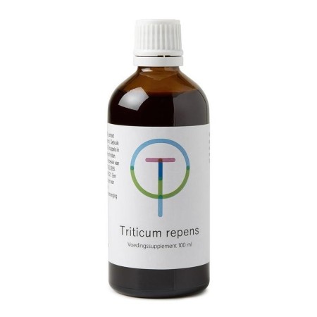 Triticum repens