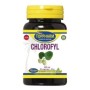 Chlorofyl puur 600mg
