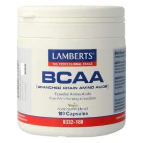 Bcaa branched chain amino acids