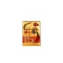 Ginst 15 korean red ginseng extract