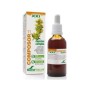 Composor 11 digesor xxi