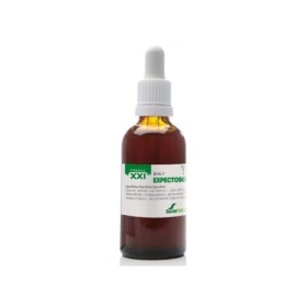 Composor 12 expectosor xxi