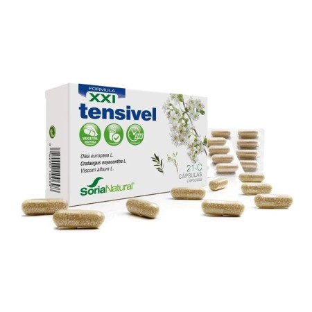 21-c tensivel xxi