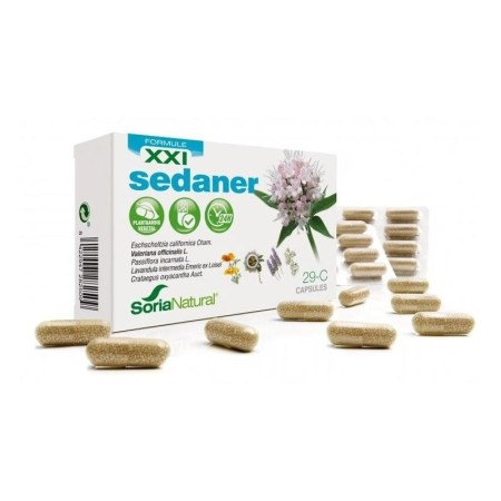 29-c sedaner xxi