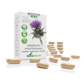 11-s silybum marianum xxi