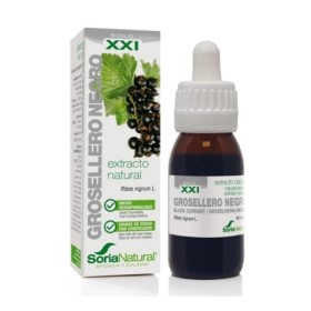 Ribes nigrum xxi extr. fl.