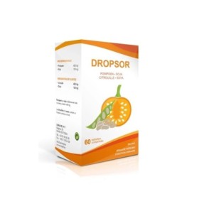 Dropsor