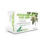 Groene thee