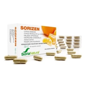 Sorizen