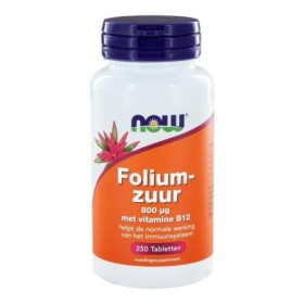 Foliumzuur 800 mcg 250 tabs