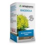 Rhodiola