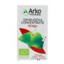 Ginkgo
