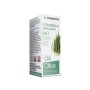 04 citronella van java