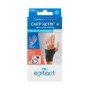 Carp activ links - m