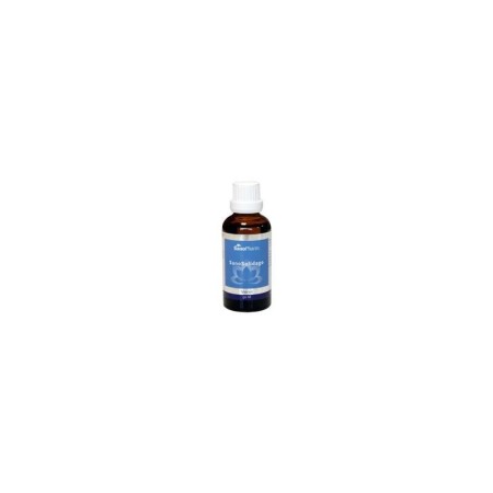 Sanosolidago