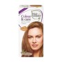Colour & care medium golden blond 7.3