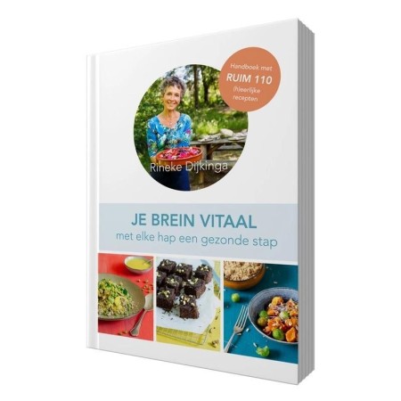 Je brein vitaal - rineke dijkinga