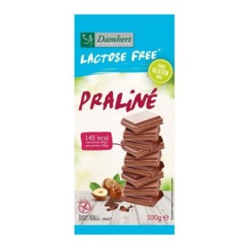 Lactose/gluten free chocoladtabl praline