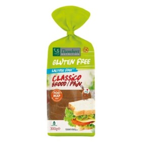 Gluten free classico brood lactose free