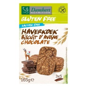 Gluten free haverkoekjes chocolade