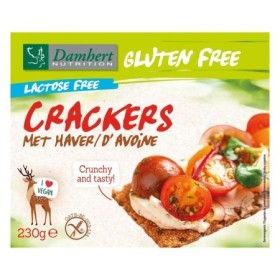 Gluten free crackers haver lactose free