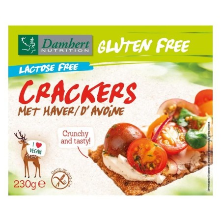 Gluten free crackers haver lactose free
