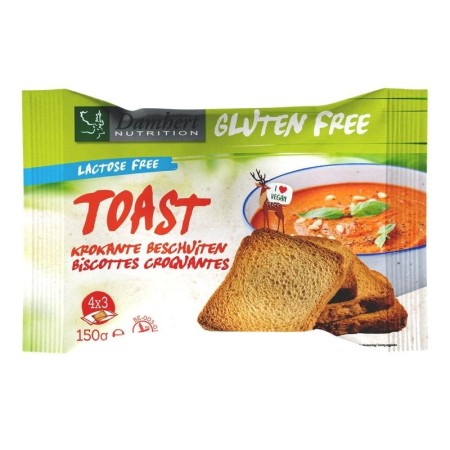 Gluten free toast lactose free