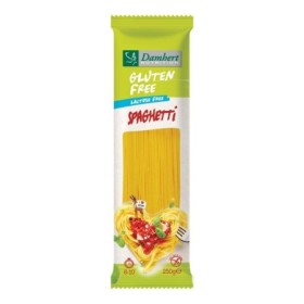 Gluten free spaghetti lactose free