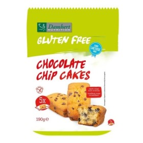 Gluten/lactose free chocolate chip cakes