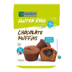 Gluten free chocolate muffins