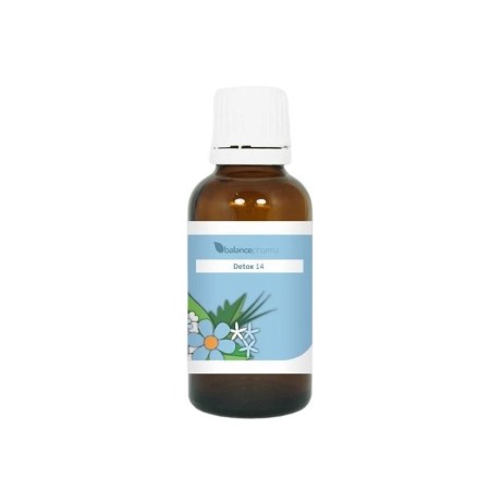 Detox 14 onderhoud