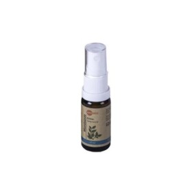 Echina mondspray