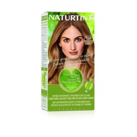 7,34 helder hazelnoot