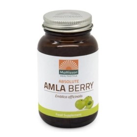 Absolute amla fruit extract 500mg 60vcap