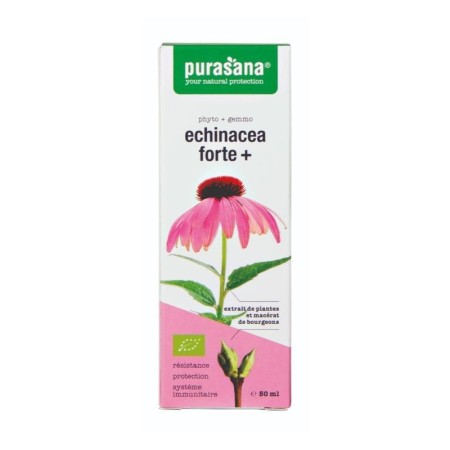 Echinacea forte + 50 ml bio