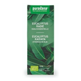 E.o. eucalyptus radiata 10 ml bio