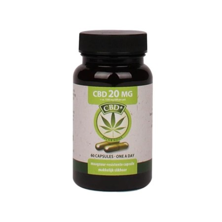 Cbd caps 60st 20mg