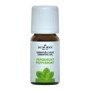 Pepermunt olie 10ml