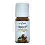 Kruidnagel-olie 10ml