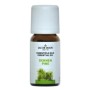 Denne-olie 10ml