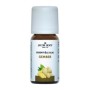 Gember olie 10ml