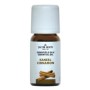 Kaneel-olie 10ml