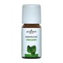 Oregano olie 10ml