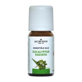 Radiata eucalyptus olie 10ml