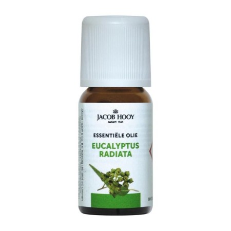 Radiata eucalyptus olie 10ml